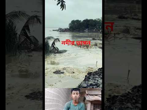 পদ্মা নদী ভাঙ্গোনে সব চলে ভেঙে গেলো।#vido #viral #so # sad#