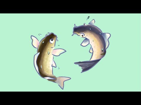猫の動画サムネイル - 【週末おさかな部】5月カレンダー「コイと池のさかなたち」🎨🐟vol.122