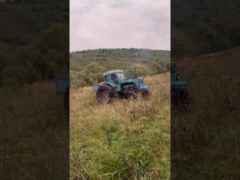 Трактор Т40 в роботі