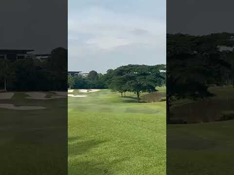 週末のルーティン　朝のコーヒーからのお散歩🚶