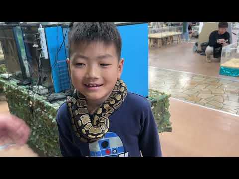 ヘビマフラー🐍