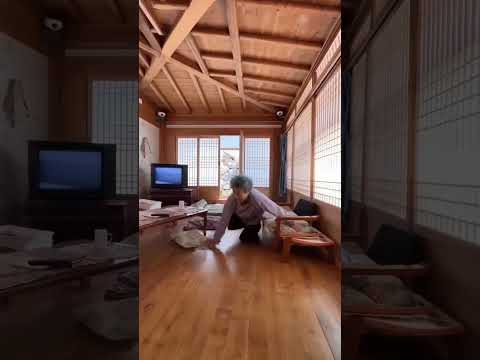 할머니집에 쳐들어온 두 댕댕이들