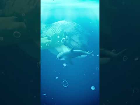 Underwater Adventures! | Matchbox #shorts