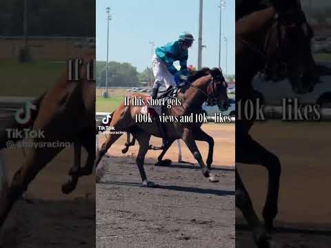 I’m so confident it won’t