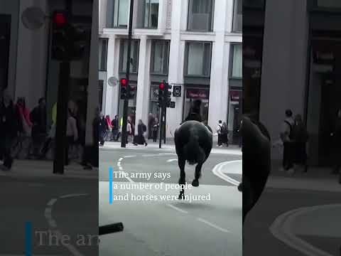 Military horses running loose in central London | DW News