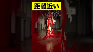 距離近いねん！【迷商店街】