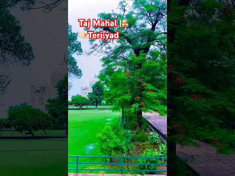 Teri yad taj mahal #tajmahal