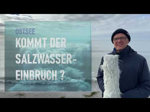 Das aktuelle Seewetter vom 2. März 2026 mit Stefan Kreibohm