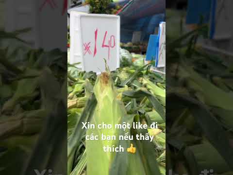 Rau củ rẻ quá nè