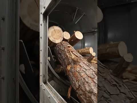 How Paper Is Made: From Trees to Finished Paper 🤯🏭 #howitsmade #factoryprocess #paperfactory