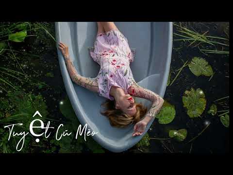 Tuyệt Cú Mèo # Nhạc Hay Mỗi Ngày #