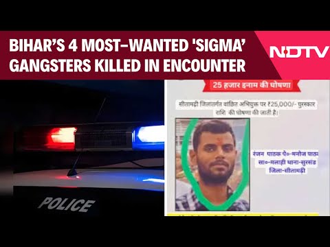 Sigma Gang News | 4 Most-Wanted Gangsters From 'Sigma Gang' Killed In Delhi Encounter