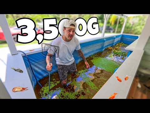 I emptied My POND and Found THIS… In today’s video, I emptied a pond that I haven’t touched in a few months. Little did I know the