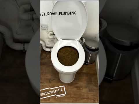 EPIC Toilet plumbing disasters