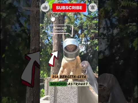 calon astronot #short #kucinglucu #shortvideo #cat #kucinganggoralucudanimut #viral #kucing