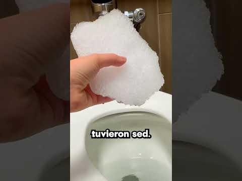 Llevaron nieve al desierto 😳