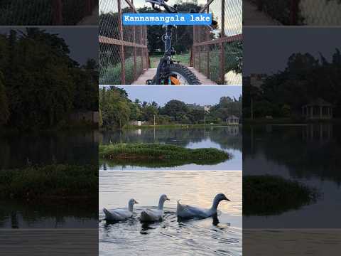 Cycle ride / kannamangala lake #cycling #morning #sunrise #trending #fun #sports #bike #bengaluru
