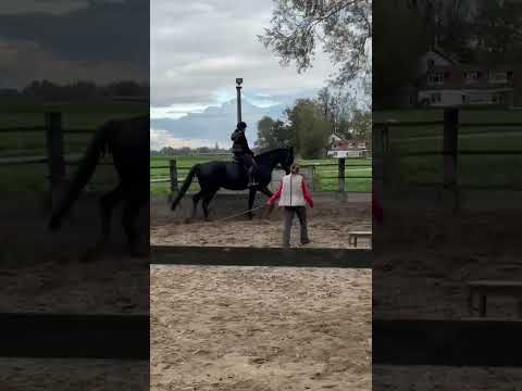 Eslin voor het eerst op Black, ook in draf👏🍀😃#horse #horses #paardrijles