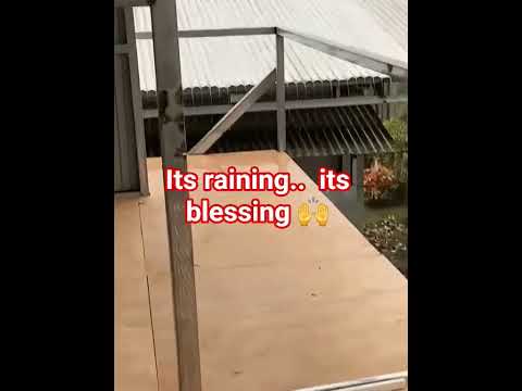 its raining,its blessing 🙌 #rain #raining #home