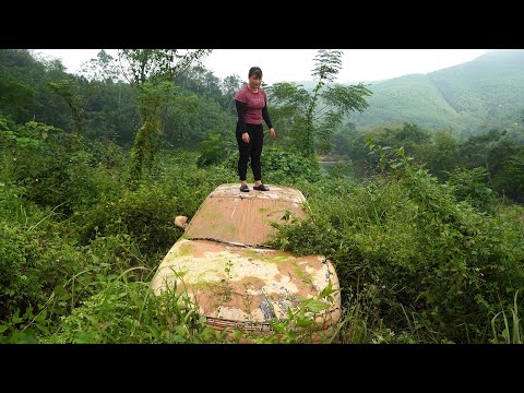 A car was found in the bushes - I decided to save this abandoned car