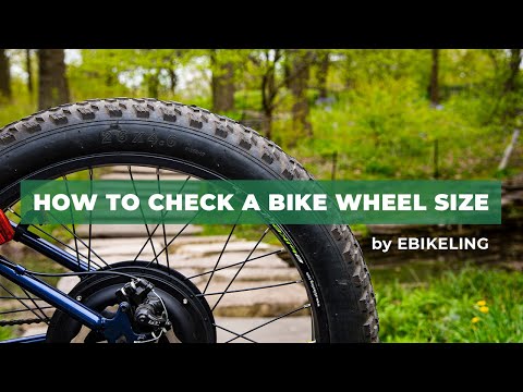How to Check a Bike Wheel Size