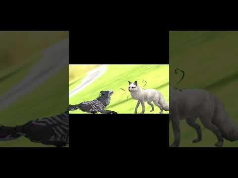 ~Ah ~mmm ~More tenderly #capcut #wildcraftheat #heat #roblox #stopwildcraftheat #furry #warriorcats