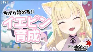 【メイプルストーリー】イエティ育成がつらいので雑談しながら…【Vtuber / 春乃こね子】