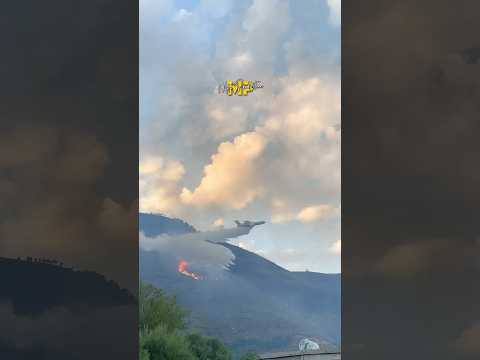 تكاثف الجهود لإخماد حريق🔥شب بأعالي بلدية تسالة ولاية ميلة 📍🇩🇿 #الحماية_المدنية_الجزائرية