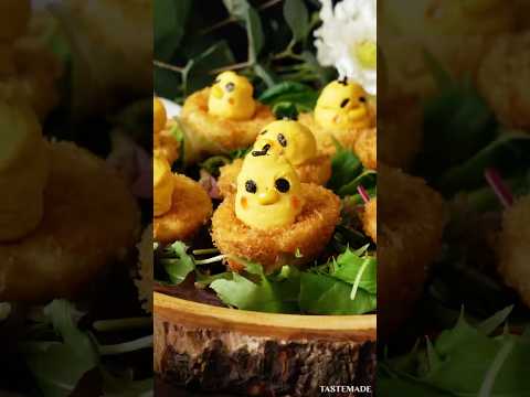 「食べられない」って言われた🍴ゆで卵から生まれたひよこがこちら🐣🤍 #shorts #動物 #ひよこ #おうちカフェ