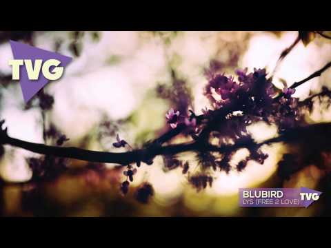 BluBird - Lys (Free 2 Love) - UCouV5on9oauLTYF-gYhziIQ