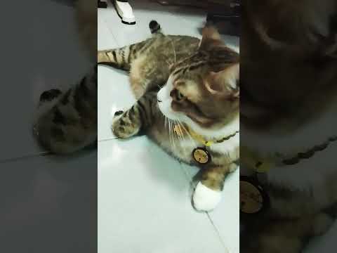 #กินแล้วก็นอนทูนหัวของบ่าว😂😂😂