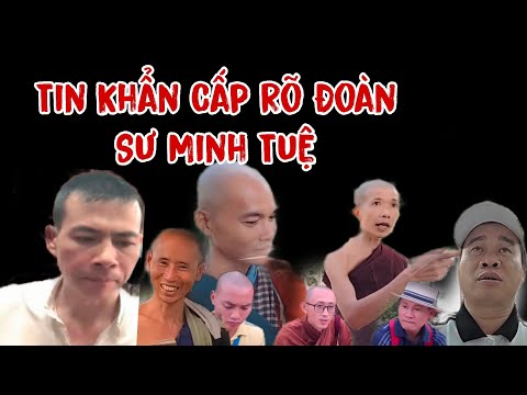 T24 Tô Quyền Nói Hết Đoàn Sư Minh Tuệ Vạch Rõ TNV Cùng Kền Kền