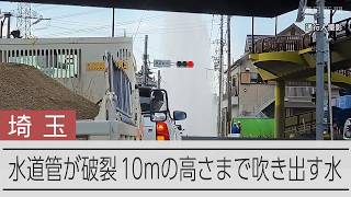 動画サムネイル