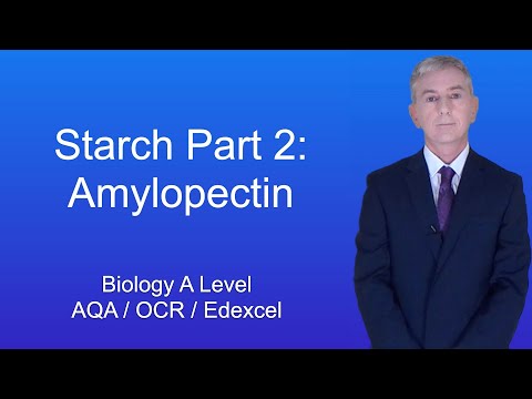 A Level Biology Structure and Properties of Starch part 2