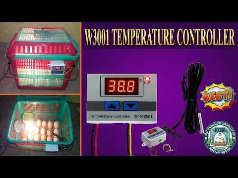 BEST TEMPERATURE CONTROLLER FOR HOMEMADE INCUBATOR