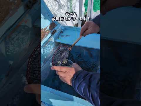 冬のさけます情報館に行ってきたよ!!