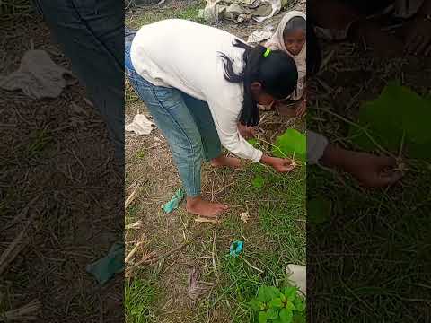 short feed #short video #viral dua# trending short #motivation