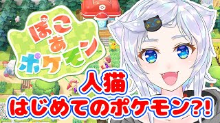 【ぽこ あ ポケモン】人猫、ブイズを召喚する【ぽこポケ】