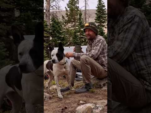 What a peaceful morning with some crazy dogs!