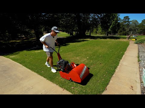 My Exact Plan To Fill This Lawn In (4 Weeks)