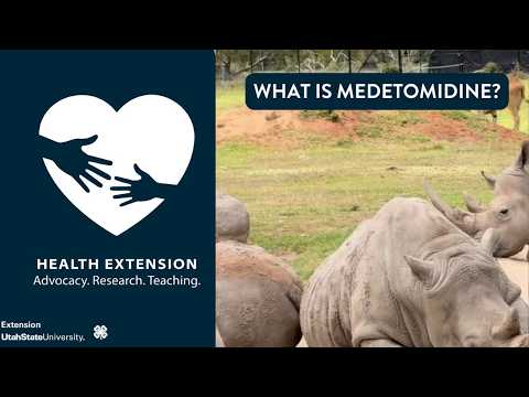 Medetomidine "Rhino Tranq"