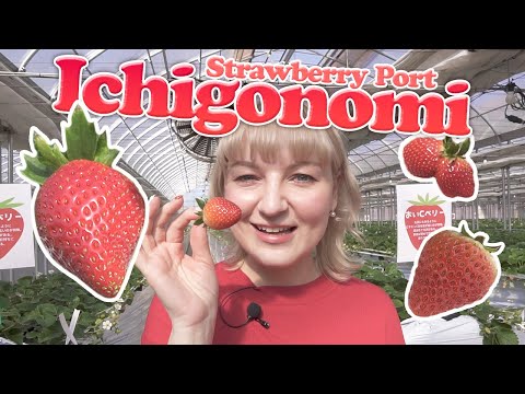 Strawberry Picking Facility at the Gateway to Japan!