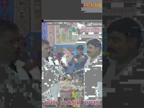 મોરલ💔 #horse #trending #dayro#lokgeet#lokdayro #shivam#moral