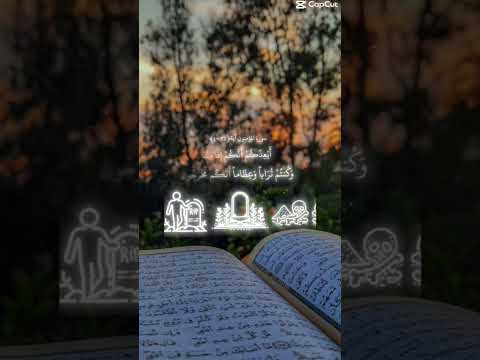 كم لايك بجيب❤️🫶