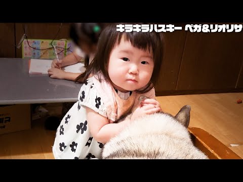 こちらが犬の耳をたべようとしている子です