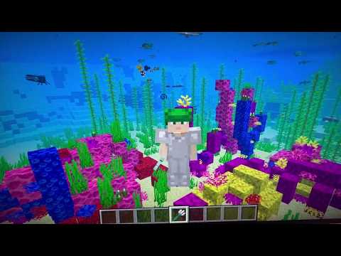Home Learning - We Built a Coral Reef in Minecraft