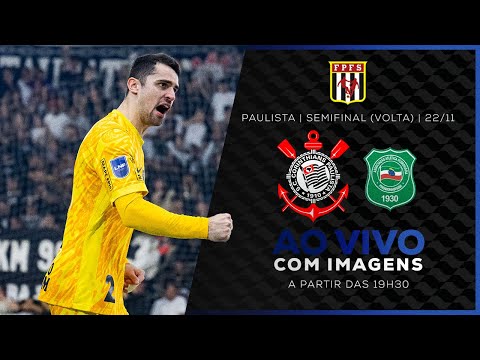 image para ilustrar o artigo