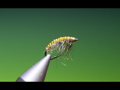 Fly Tying a Snow shoe Caddis Larva with Barry Ord Clarke