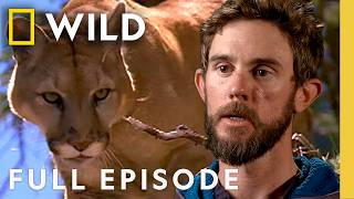 Thumbnail for the video "Running For Your Life (Full Episode) | Hunter vs. Hunted | Nat Geo Animals" from Nat Geo Animals