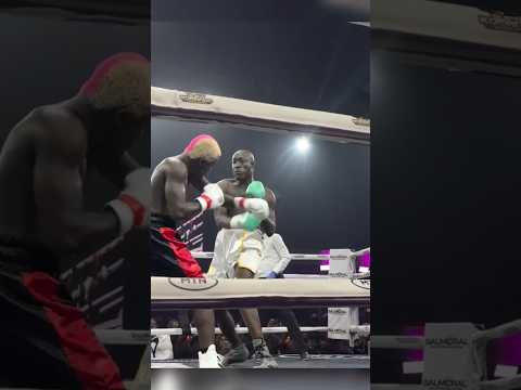 Highlights From Portable Vs Carter Efe Boxing Fight.